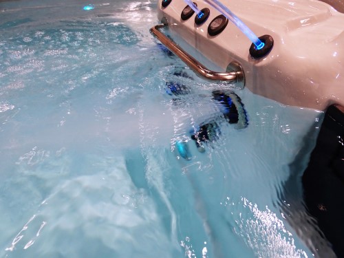 swim-system-3